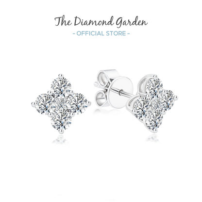 TDG 10K Gold Lab Grown Diamond Quartet Ear Studs
